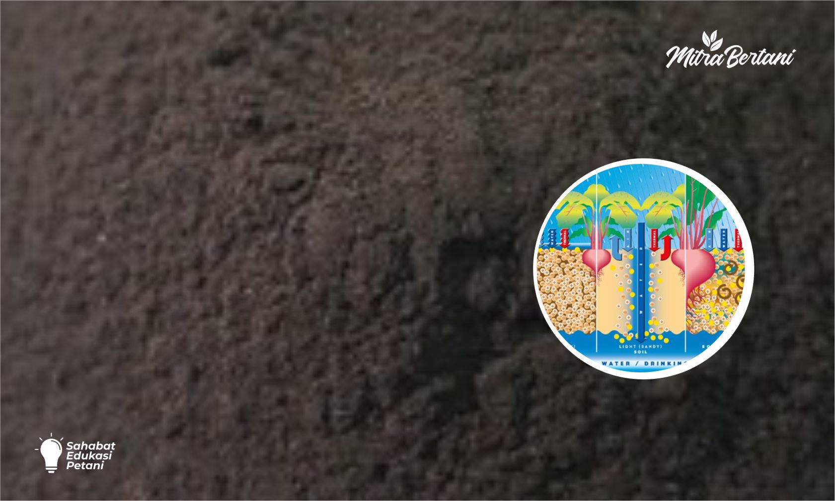 Asam Humat: Rahasia Tanah Gembur Tanaman Subur