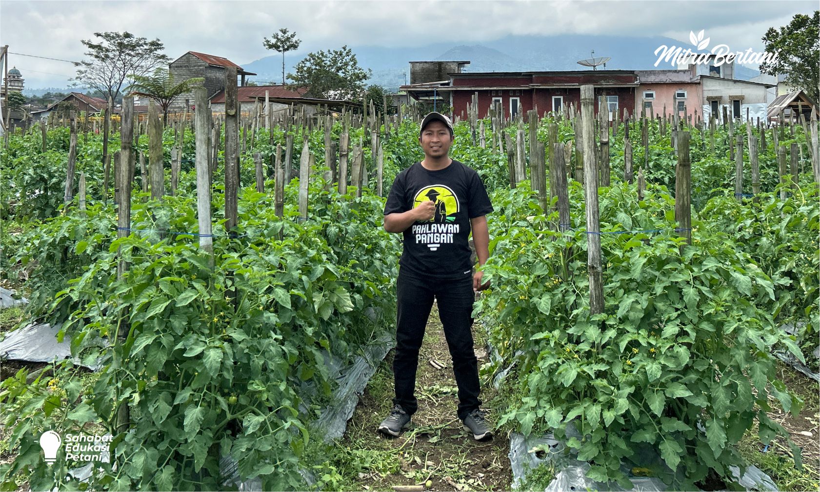 Olah Lahan Bekas di Musim Hujan: Cocok untuk Semua Tanaman Hortikultura
