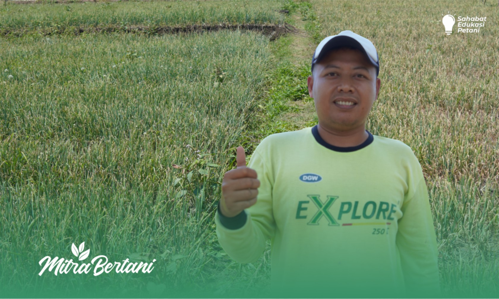 Budidaya Bawang Merah : Jangan Asal Tanam, Begini Kata Petani Bawang Senior