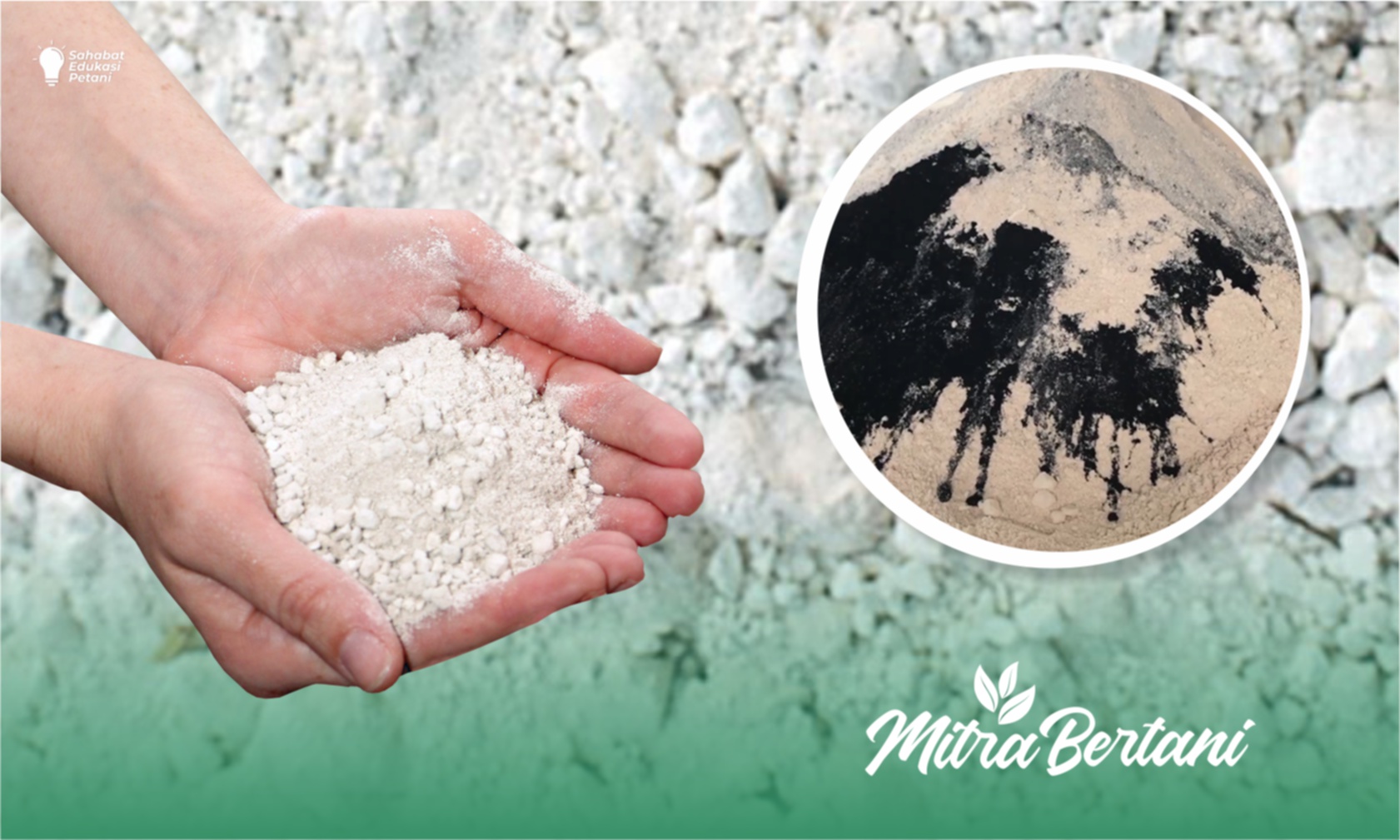 Mengenal Ragam Pupuk Kalsium : Nutrisi Penting bagi Tanaman