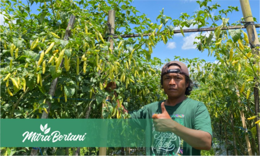 Inspirator Petani Pemula! Menciptakan Tanaman Istimewa dengan Ilmu Pengetahuan