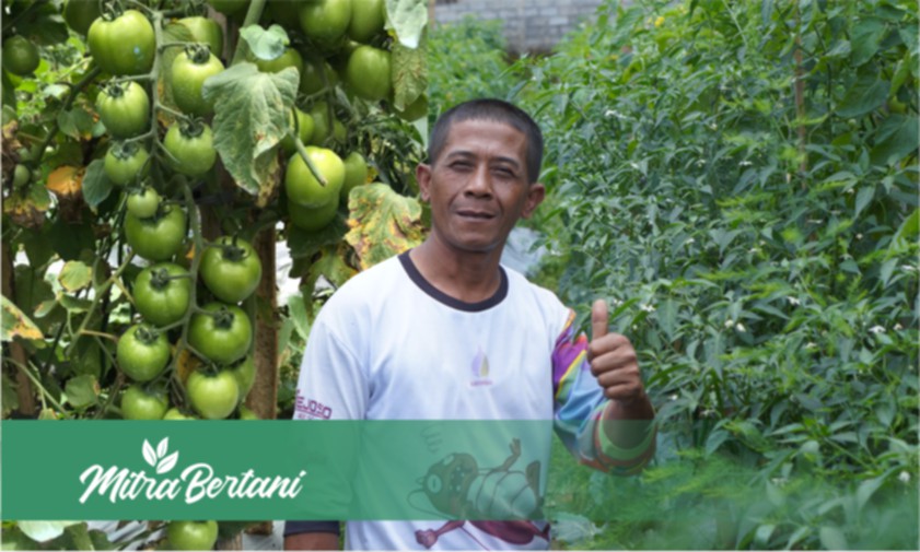 Sulap Lahan Rusak Menjadi Media Layak Budidaya Tanaman ! 1 x Olah untuk 8 x Tanam