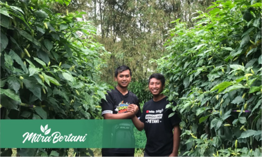 Temu Kangen Bersama Pencipta Metode Master Cabai