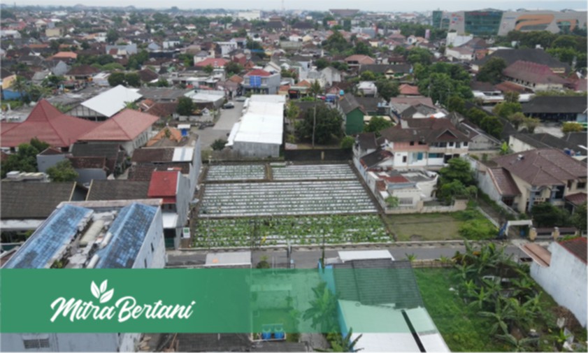 Potret Kartini Masa Kini, Mengubah Lahan Kosong Perkotaan Menjadi Ladang Bisnis