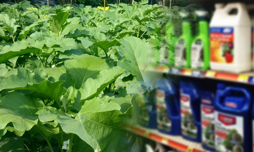 Mengenali dan Memahami Bentuk-bentuk Formula Pestisida